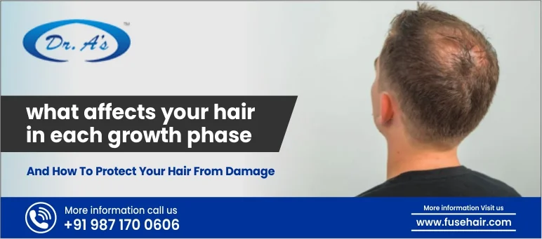 What Affects Your Hair in Each Growth Phase & How to Protect Your Hair From Damage
