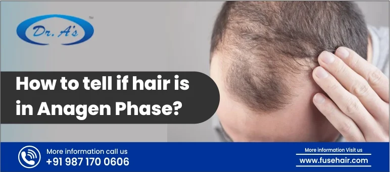 How To Tell If Hair Is In Anagen Phase?