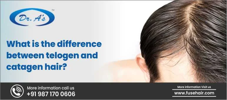 Difference Between Telogen and Catagen Hair