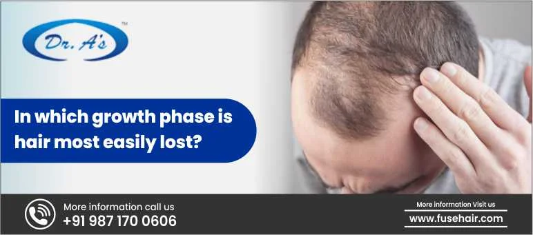 In Which Growth Phase Is Hair Most Easily Lost?