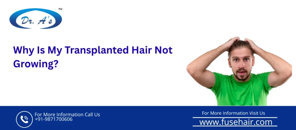 Transplanted Hair Not Growing